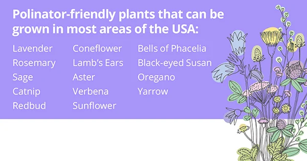 pollinator friendly plant list