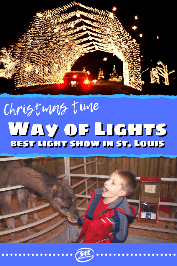 Lights, Camels, Action Way of Lights in Belleville