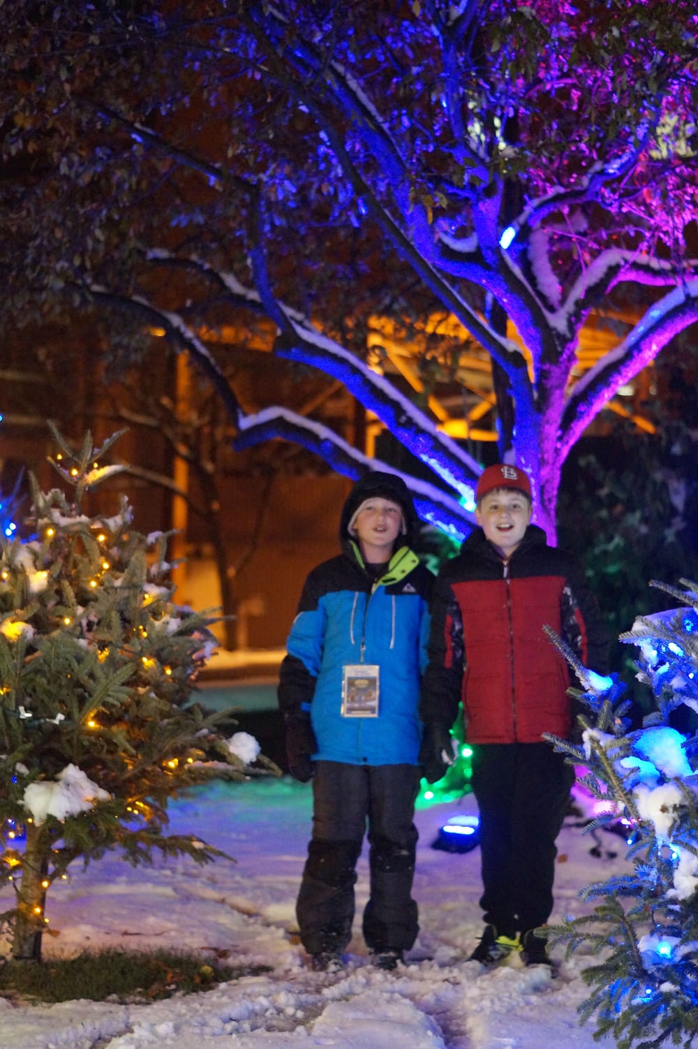 anheuser busch christmas lights tour