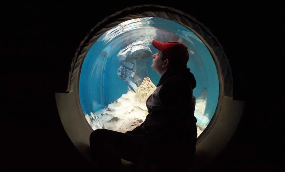 Boy in red hat sitting in a bubble window looking at the otters