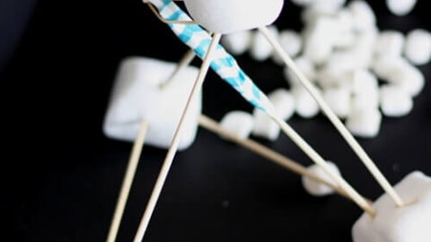 Image for Build A Marshmallow Catapult
