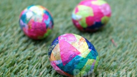Image for Eric Carle Eggs