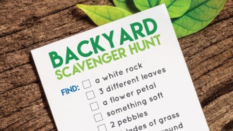 Image for Printable Backyard Scavenger Hunt