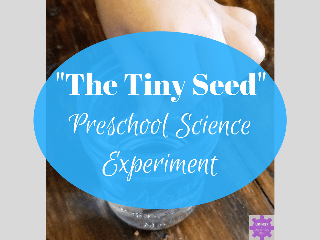 seed growing experiment ideas