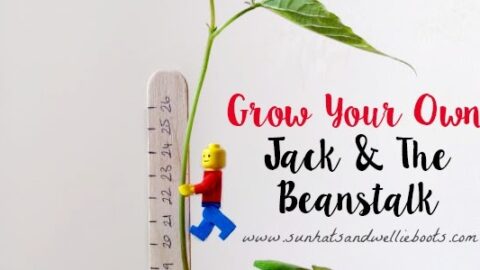 Image for Grow Your Own "Jack & the Beanstalk" with LEGOS