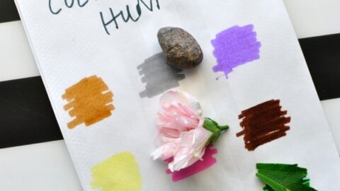 Image for Simple Color Scavenger Hunt for Kids