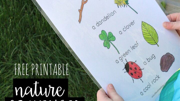 Image for Nature Scavenger Hunt for Toddlers