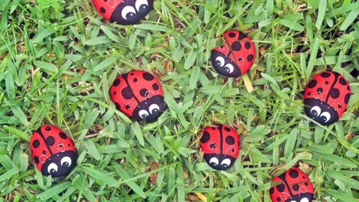 Image for These Ladybug Painted Rocks Are Fun & Easy For Kids