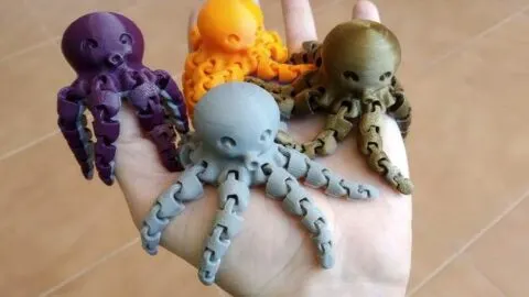 Image for Cute Mini Octopus