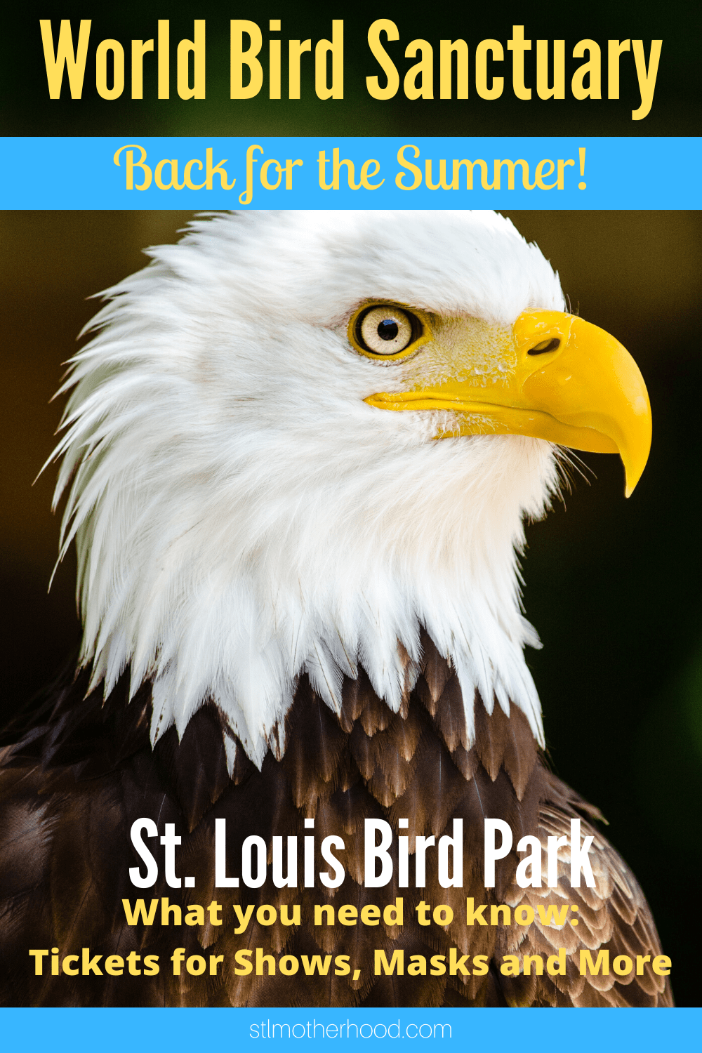 world bird sanctuary tours