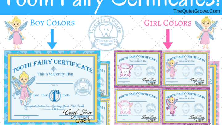 Image for Free Printable Tooth Fairy Certificates