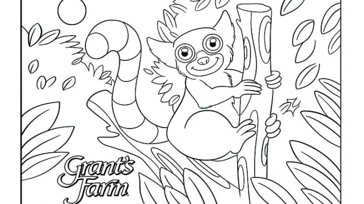 a lemur coloring page from Grant's Farm