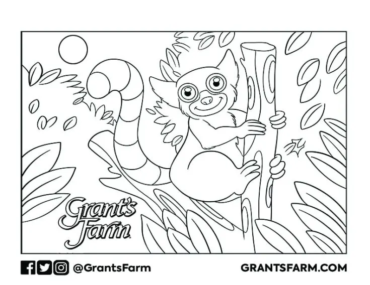 St. Louis Cardinals Coloring Pages Printable - Get Coloring Pages