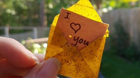 Image for Gorgeous mini LEAF ENVELOPES: perfect letters from fairies