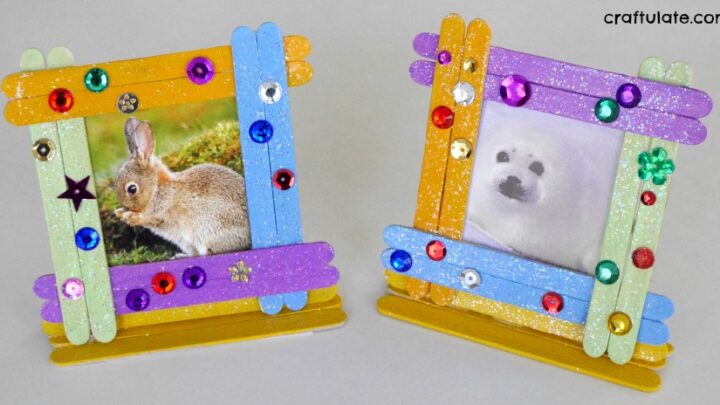 Image for Woven Craft Stick Photo Frames