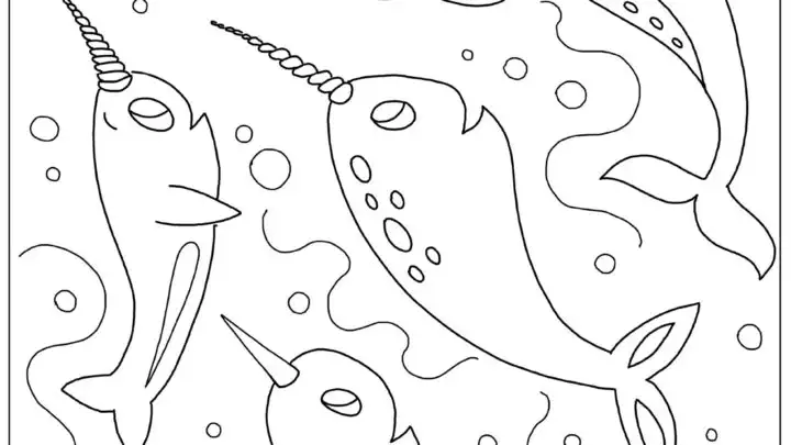 narwhales coloring sheet