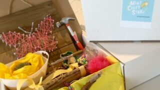 Image for Mini-Craft-Stars