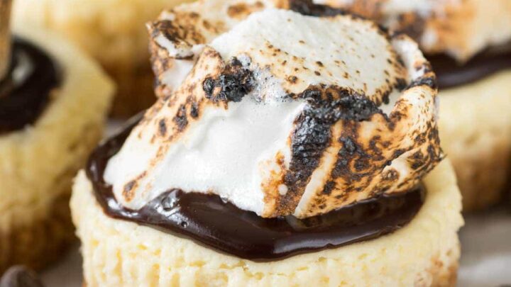 Image for Mini S'mores Cheesecakes