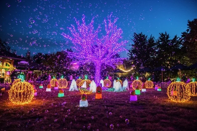 Saint Louis Zoo lit up at night for boo at the zoo