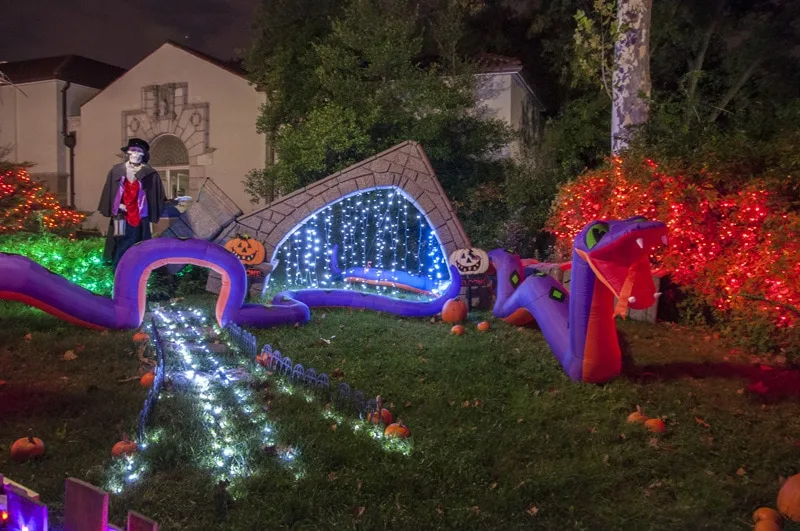 Saint Louis Boo at the Zoo decorated for Halloween in twinkle lights