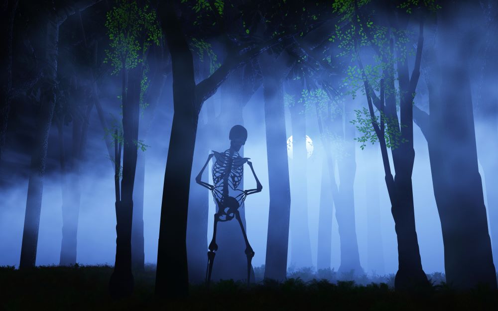 skeleton standing in a haunted forest