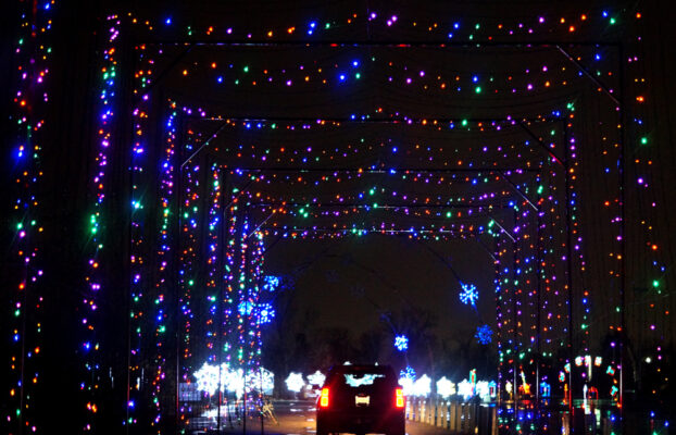 twinkle light tunnel at Lot of Lights
