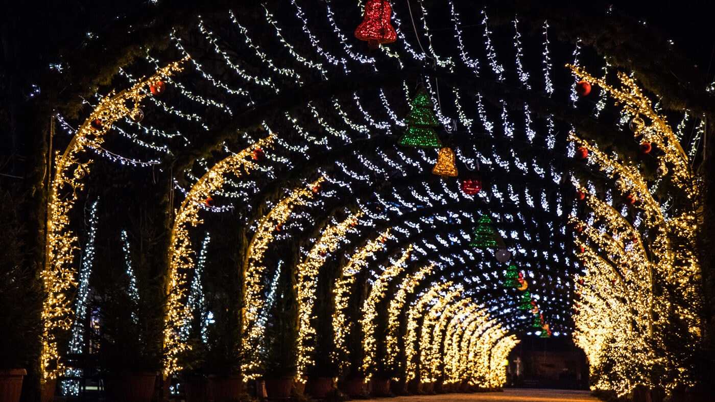 Don't miss these 15 Awesome St. Louis Christmas Lights - stlMotherhood