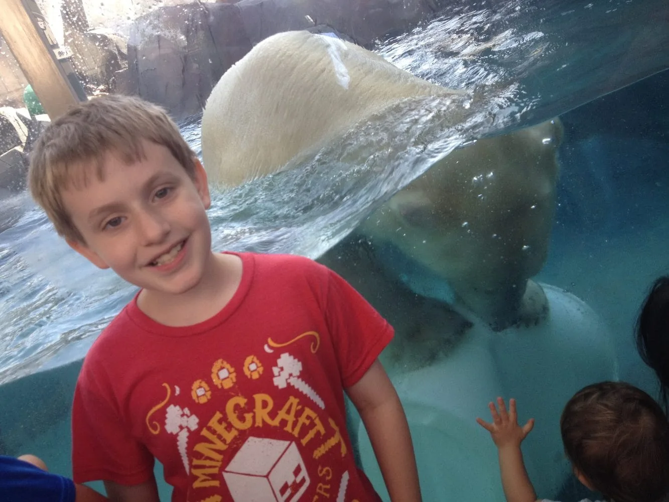 kid in front of the polar bear at the St. Louis Zoo