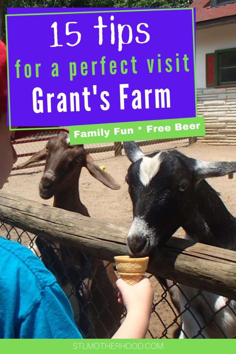 Grant's Farm 12 Tips for an Awesome Visit