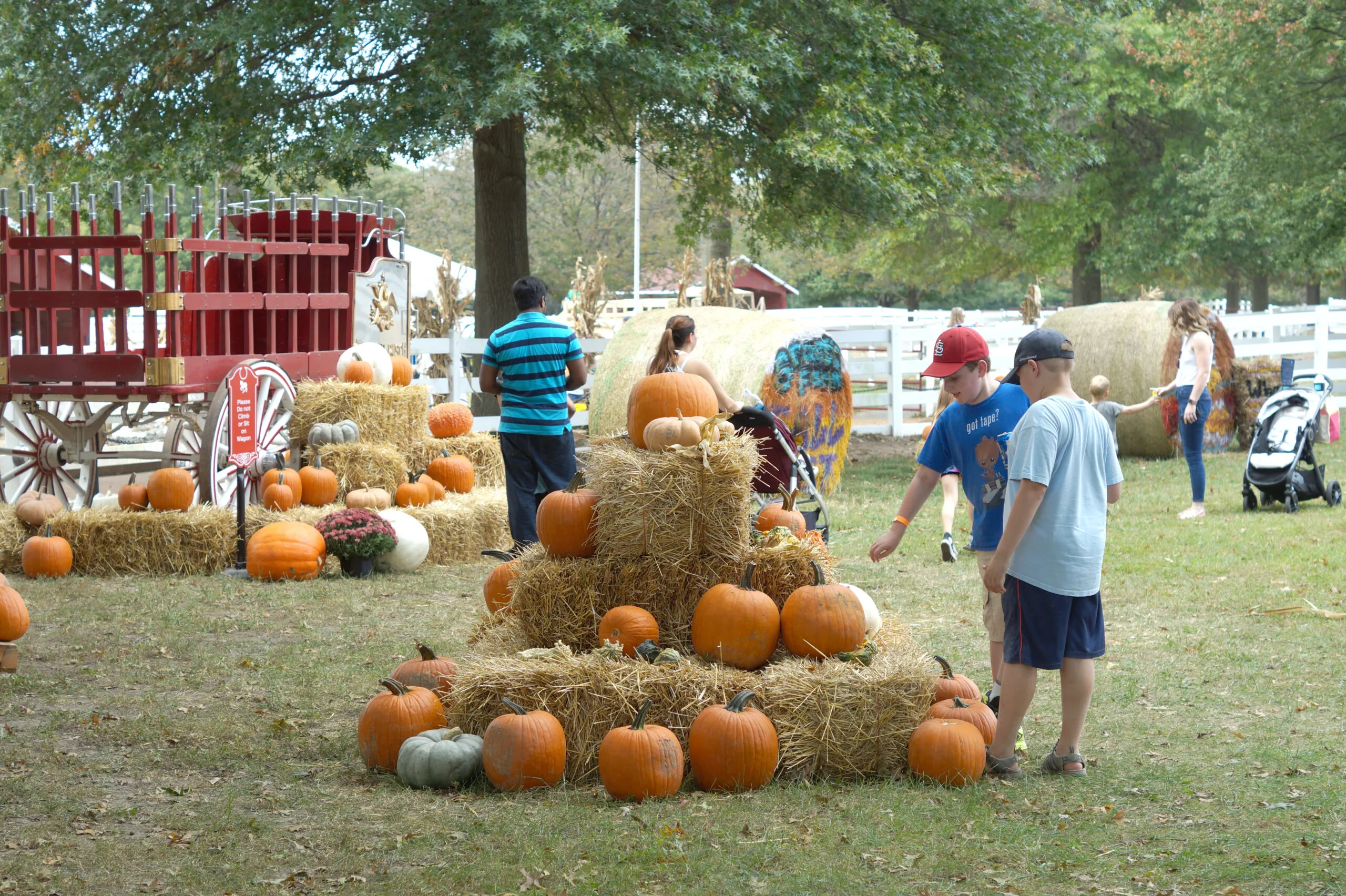 Fall Fest pumpkin patch at Grant's Farm