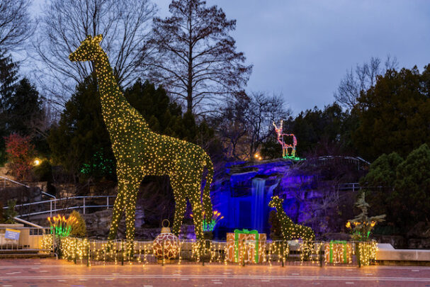 Don't miss these 15 Awesome St. Louis Christmas Lights - stlMotherhood