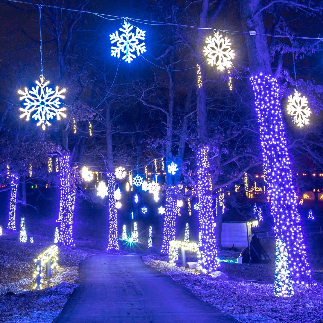 trees decorated with twinkle lights at Grant's Farm