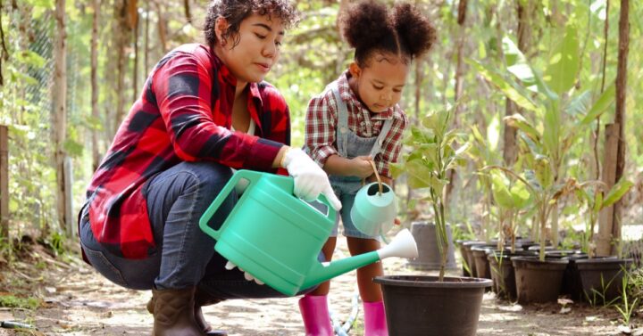 A child and parent watering a potted plant in their garden on a sunny day. Two small rows of potted plants are nearby.