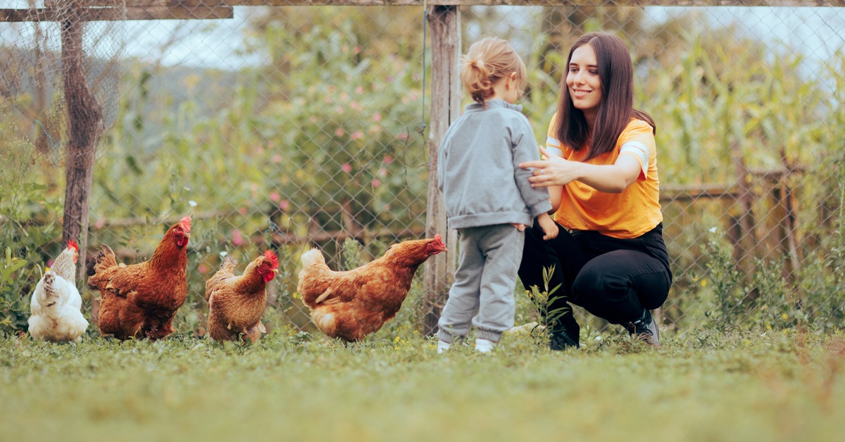 A close-up of a woman and child crouching in the grass beside hens in a sunny outdoor yard with trees nearby.